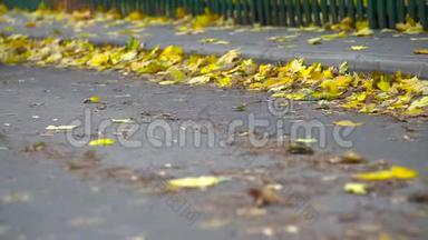 一辆橙色的汽车<strong>驶过</strong>一条布满黄色落叶的道路。 秋天。